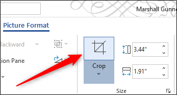 microsoft word for mac crop picture
